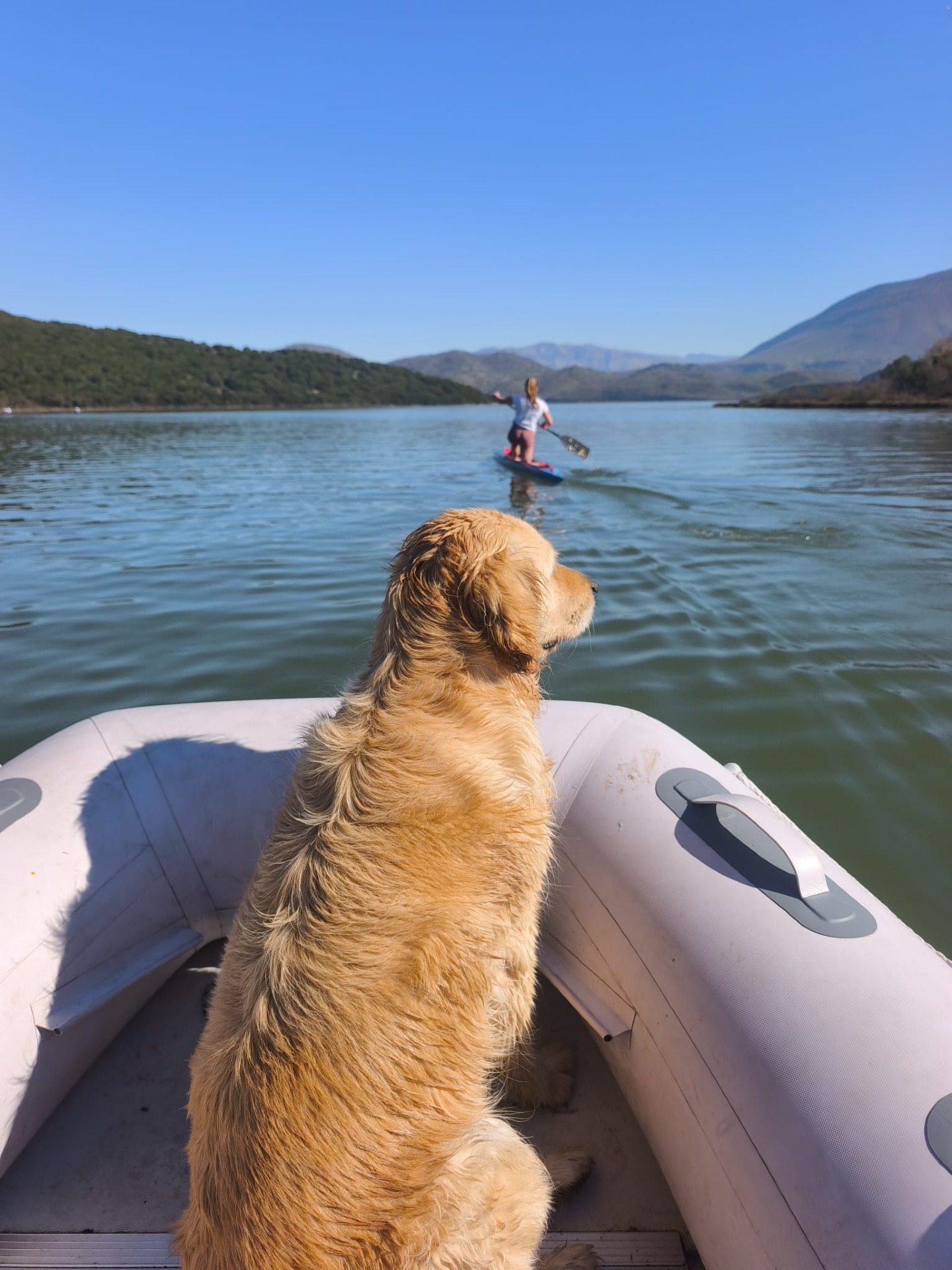 Listopadowe Albańskie Wiosłowanie 
